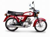 2012 Tiger Retro Sport 110 photo